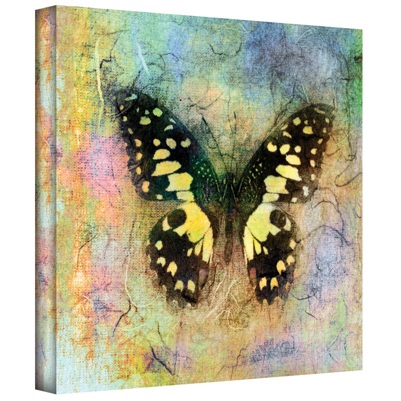 ArtWall 'Butterfly' Mixed Media Print by Elena Ray Graphic Art on